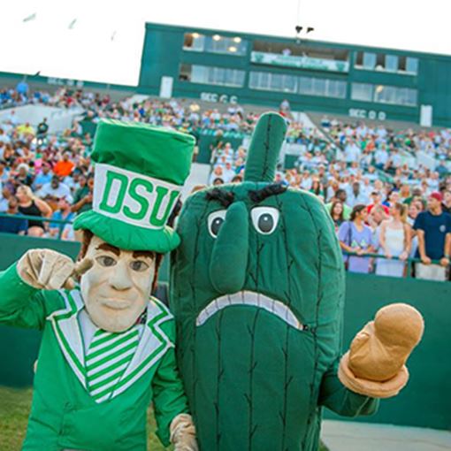 Game mascots posing for a picture